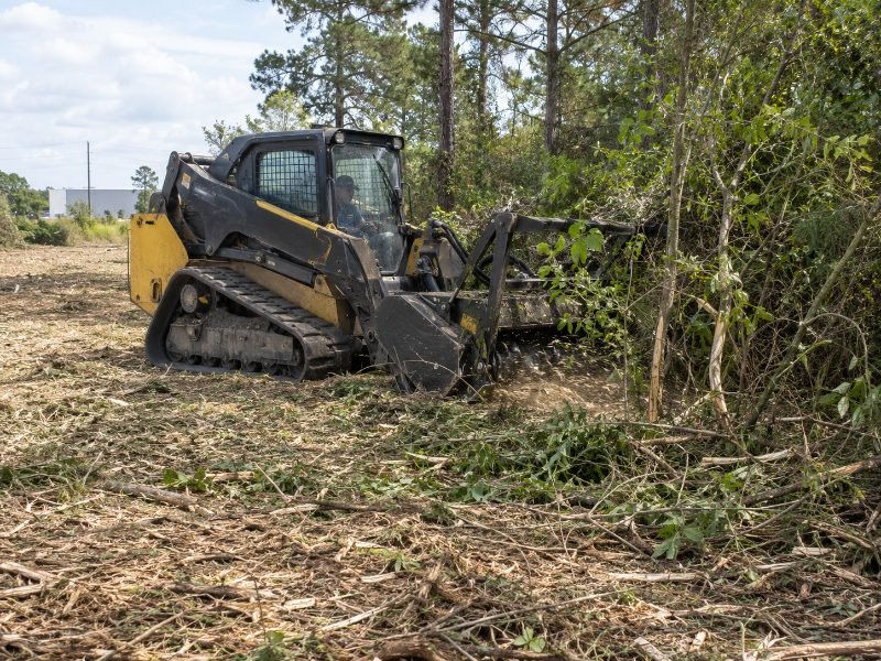 Forestry Mulching services in Pearland, Texas