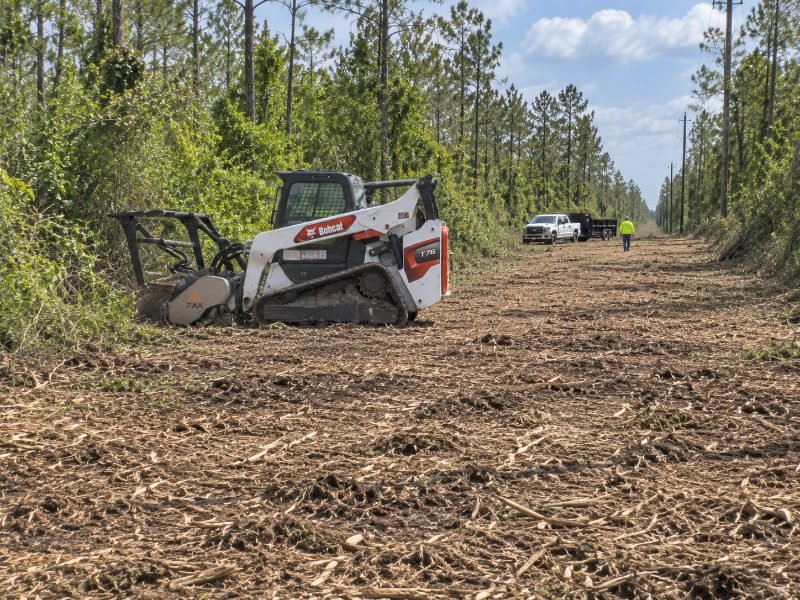 Right-of-way Clearing services in Pearland, Texas